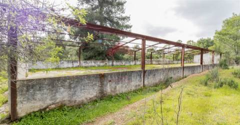 Terreno Misto  Venda em Odeleite,Castro Marim