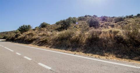 Terreno Rústico  Venda em Alcoutim e Pereiro,Alcoutim