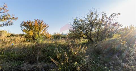 Terreno Rústico  Venda em Azinhal,Castro Marim