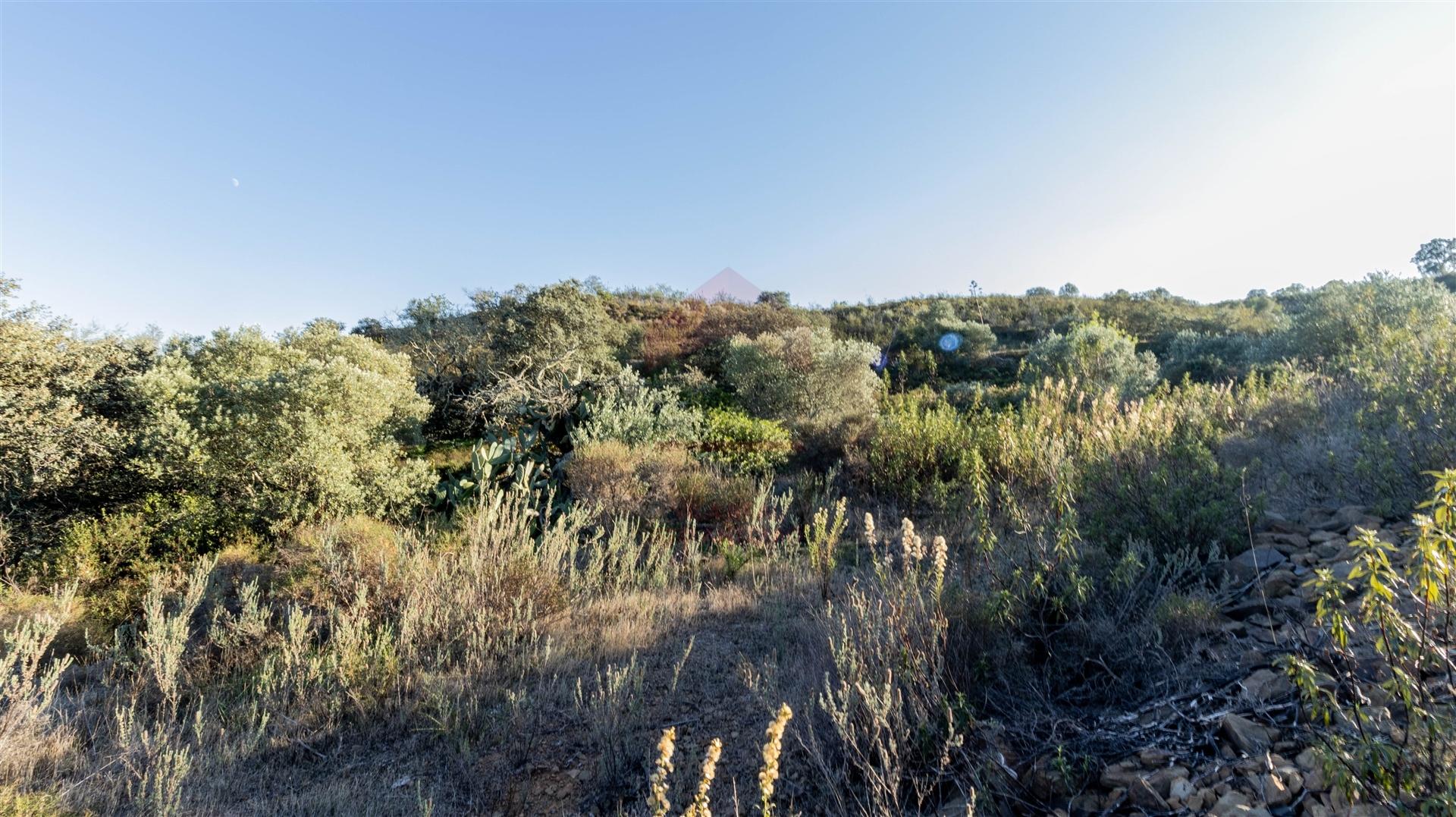 Terreno Rústico  Venda em Azinhal,Castro Marim