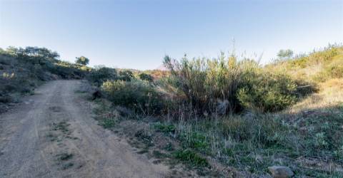 Terreno Rústico  Venda em Azinhal,Castro Marim
