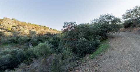 Terreno Rústico  Venda em Azinhal,Castro Marim