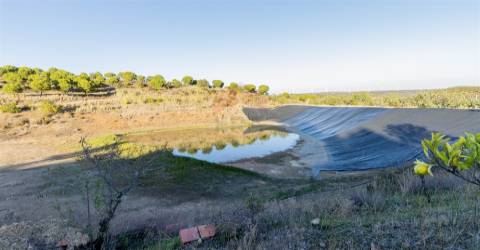 Terreno Rústico  Venda em Azinhal,Castro Marim