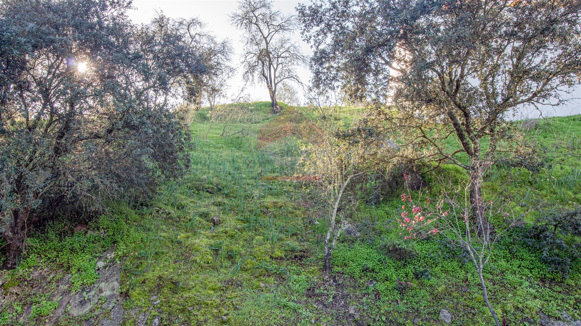 Terreno Para Construção  Venda em Alcoutim e Pereiro,Alcoutim