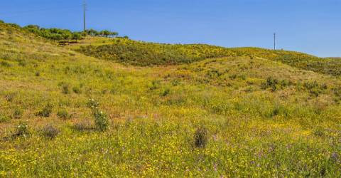 Terreno Rústico  Venda em Castro Marim,Castro Marim
