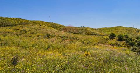Terreno Rústico  Venda em Castro Marim,Castro Marim