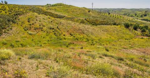 Terreno Rústico  Venda em Castro Marim,Castro Marim