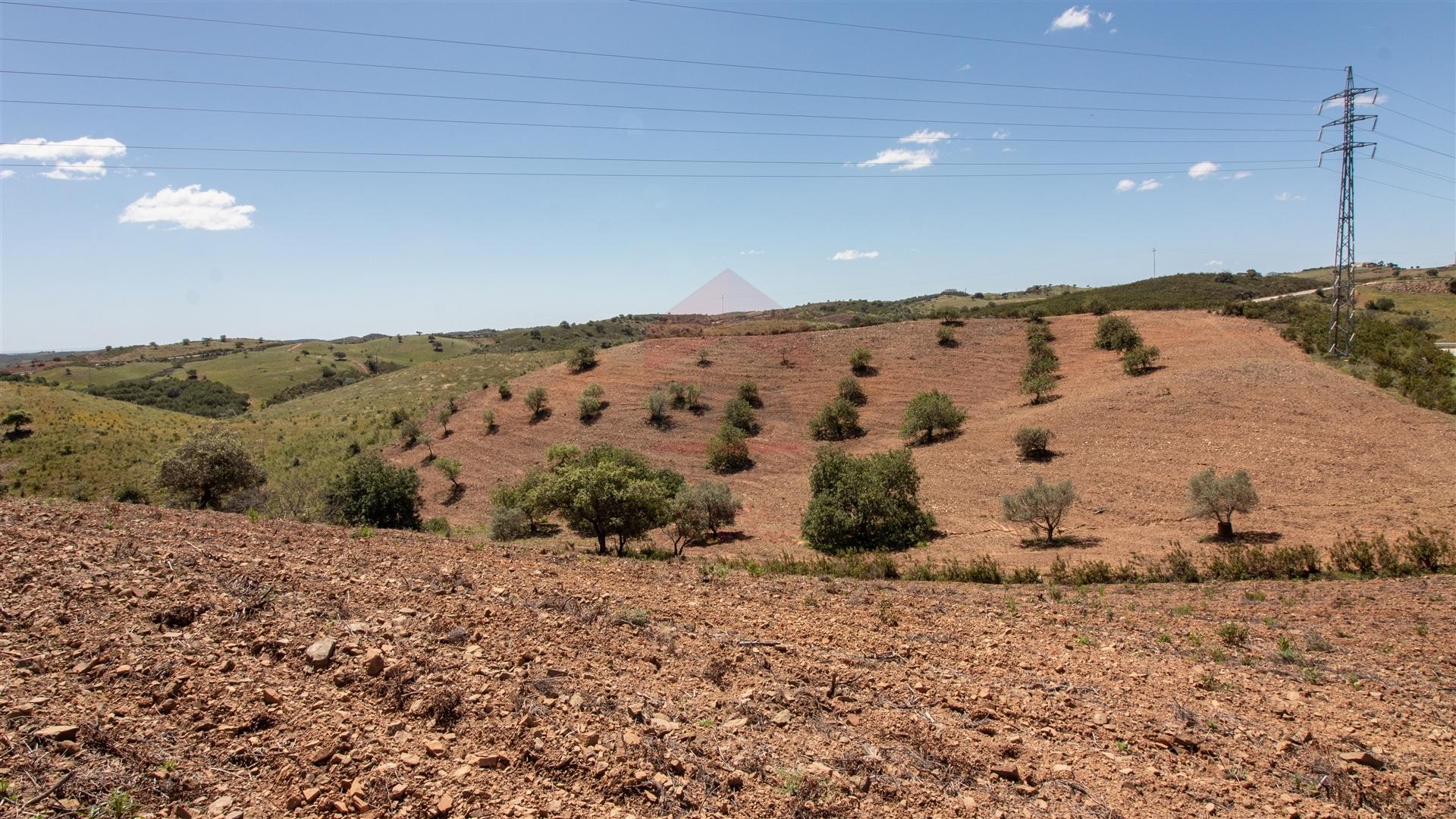 Terreno Rústico  Venda em Castro Marim,Castro Marim