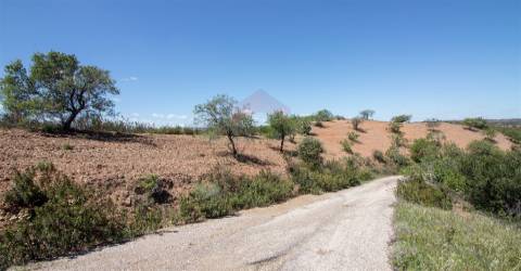Terreno Rústico  Venda em Castro Marim,Castro Marim