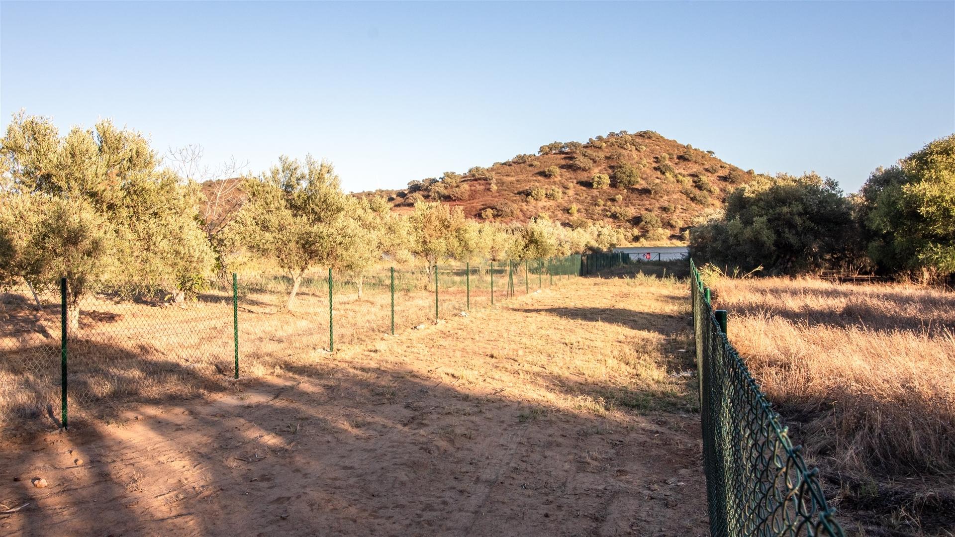 Terreno Rústico  Venda em Odeleite,Castro Marim