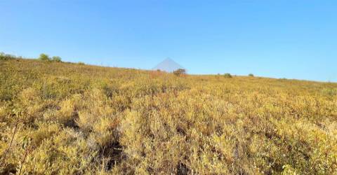 Terreno Rústico  Venda em Alcoutim e Pereiro,Alcoutim