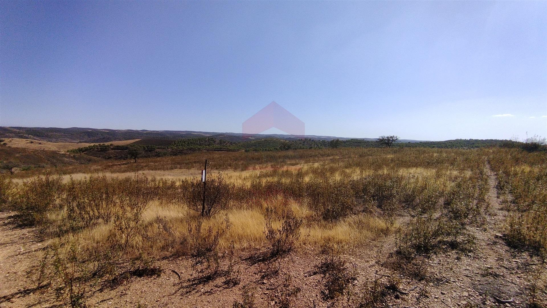 Terreno Rústico  Venda em Alcoutim e Pereiro,Alcoutim