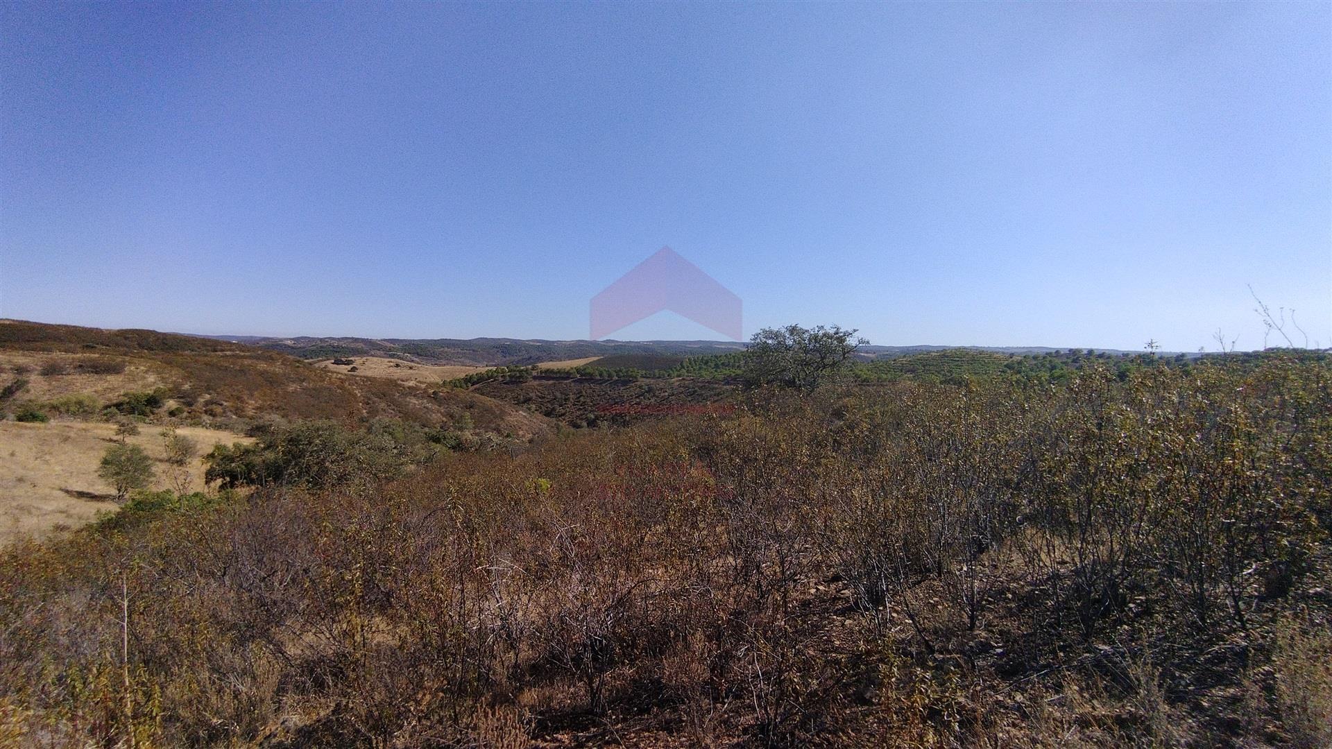 Terreno Rústico  Venda em Alcoutim e Pereiro,Alcoutim