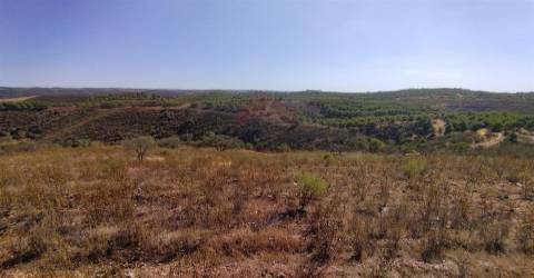 Terreno Rústico  Venda em Alcoutim e Pereiro,Alcoutim