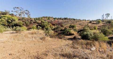 Armazém, Castro Marim, Azinhal