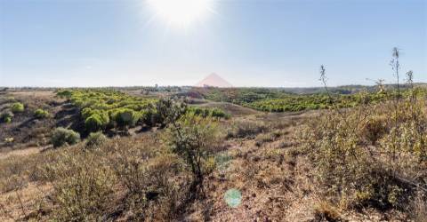 Terreno rústico em Azinhal, Castro Marim.