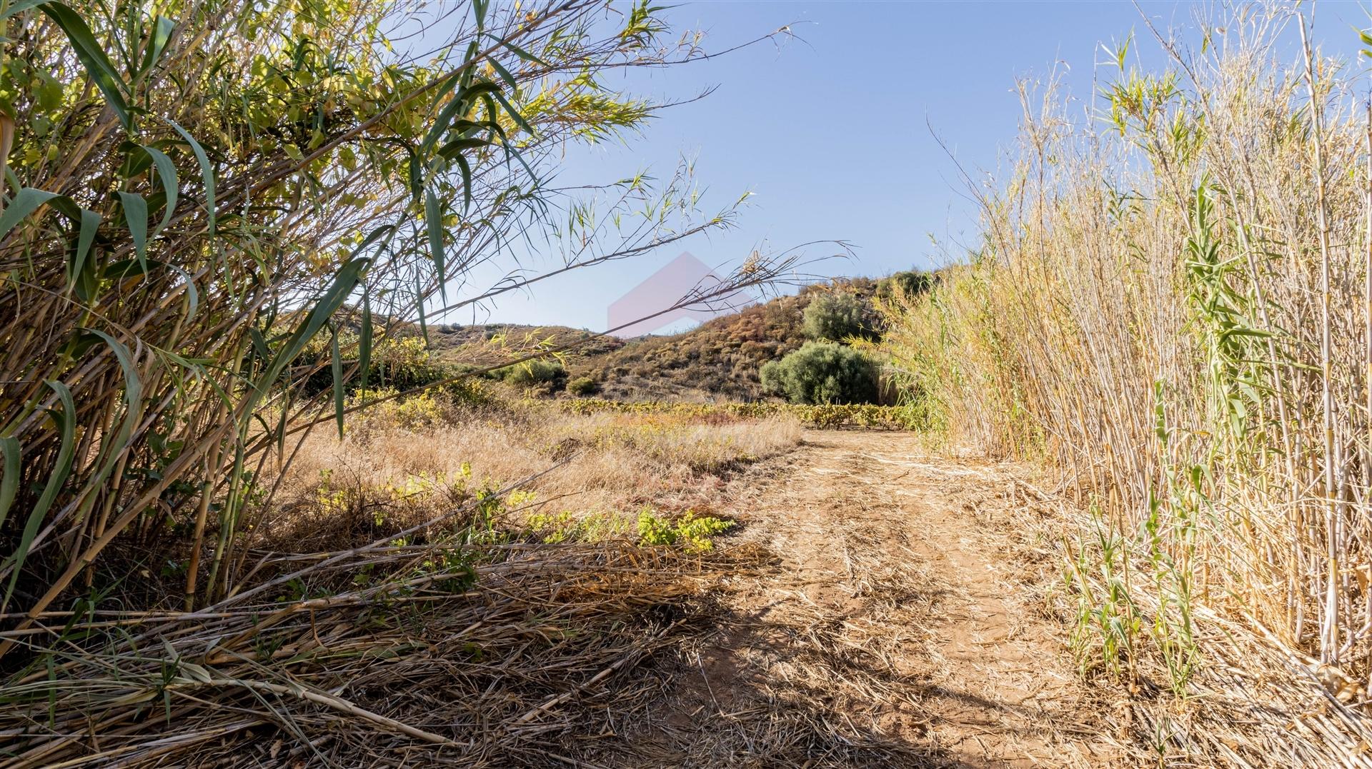 Terreno Rústico, Azinhal, Castro Marim