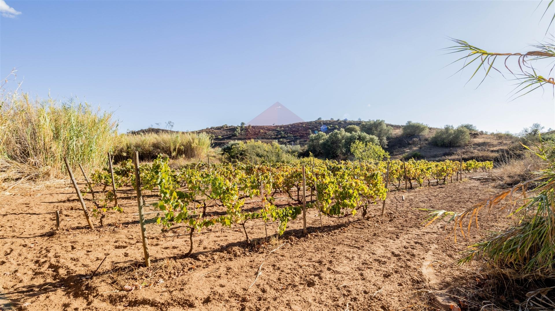 Terreno Rústico, Azinhal, Castro Marim