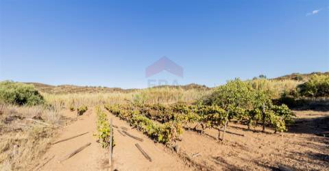 Terreno Rústico, Azinhal, Castro Marim