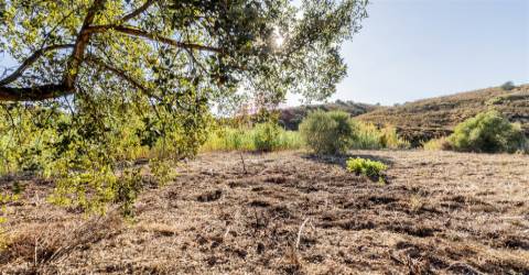 Terreno Rústico, Azinhal, Castro Marim