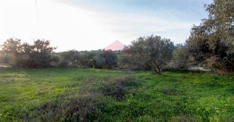 Moradia Rústica, Alcoutim, Martim Longo