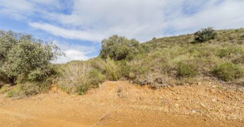 Terreno Rústico  Venda em Alcoutim e Pereiro,Alcoutim