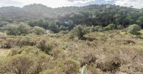 Terreno Rústico  Venda em Alcoutim e Pereiro,Alcoutim