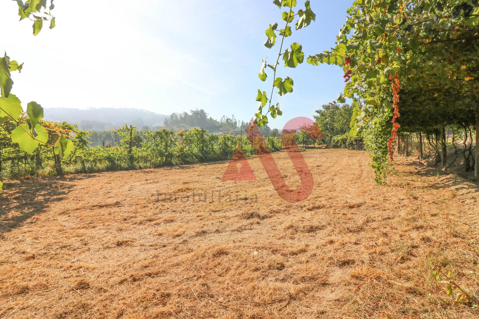 Terreno para construção com 5.500 m2  em Santo Adrião, Vizela