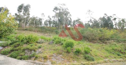 Terreno florestal com 46.000 m2 em Santa Eulália, Vizela