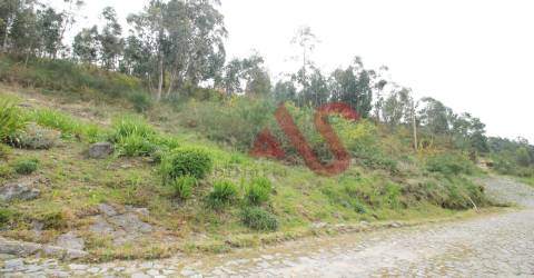 Terreno florestal com 46.000 m2 em Santa Eulália, Vizela