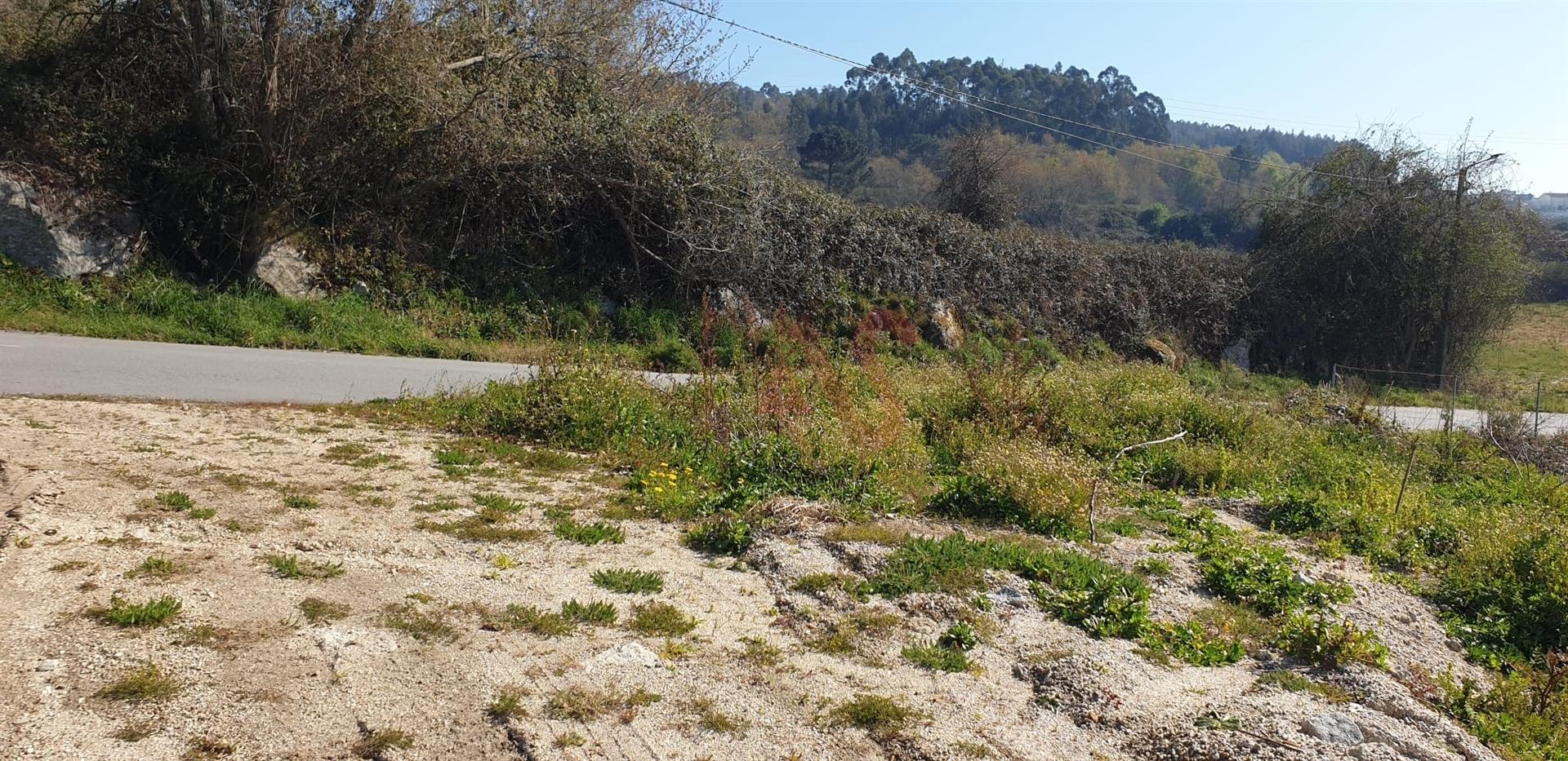 Terreno para construção com 9023 m2 em Serzedelo, Guimarães