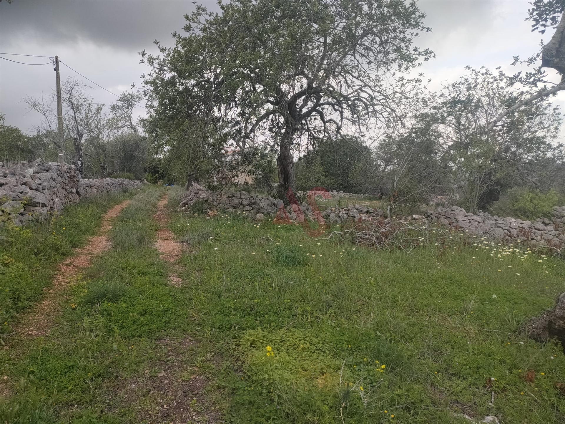 Moradia para restauro em Querença, Tôr e Benafim - Loulé