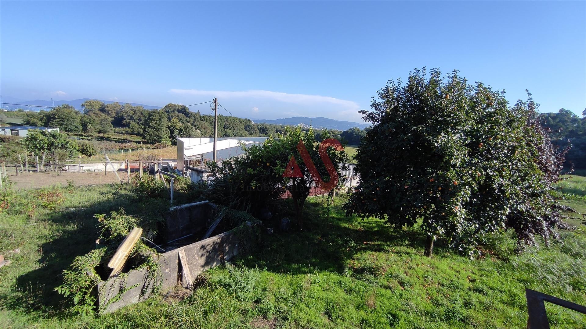 Terreno para construção com moradia para restauro em Abade de Neiva, Barcelos