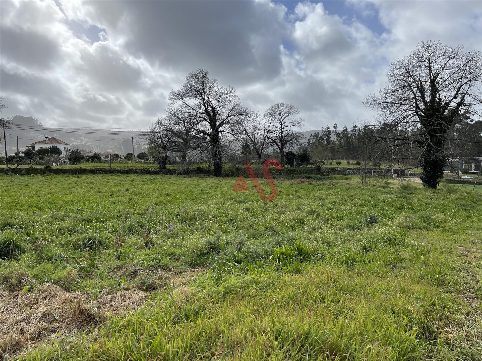 Terreno para construção à face da estrada nacional em Aborim, Barcelos