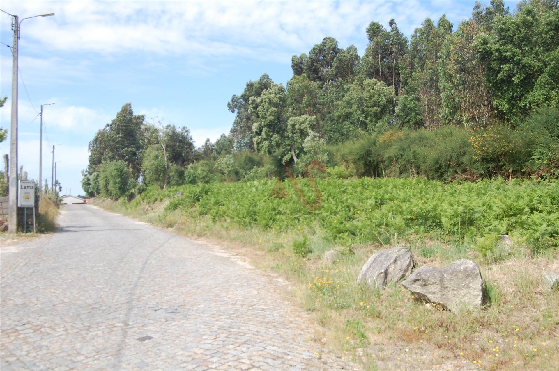 Terreno para construção com 16.670m2 em Sequeiró, Santo Tirso