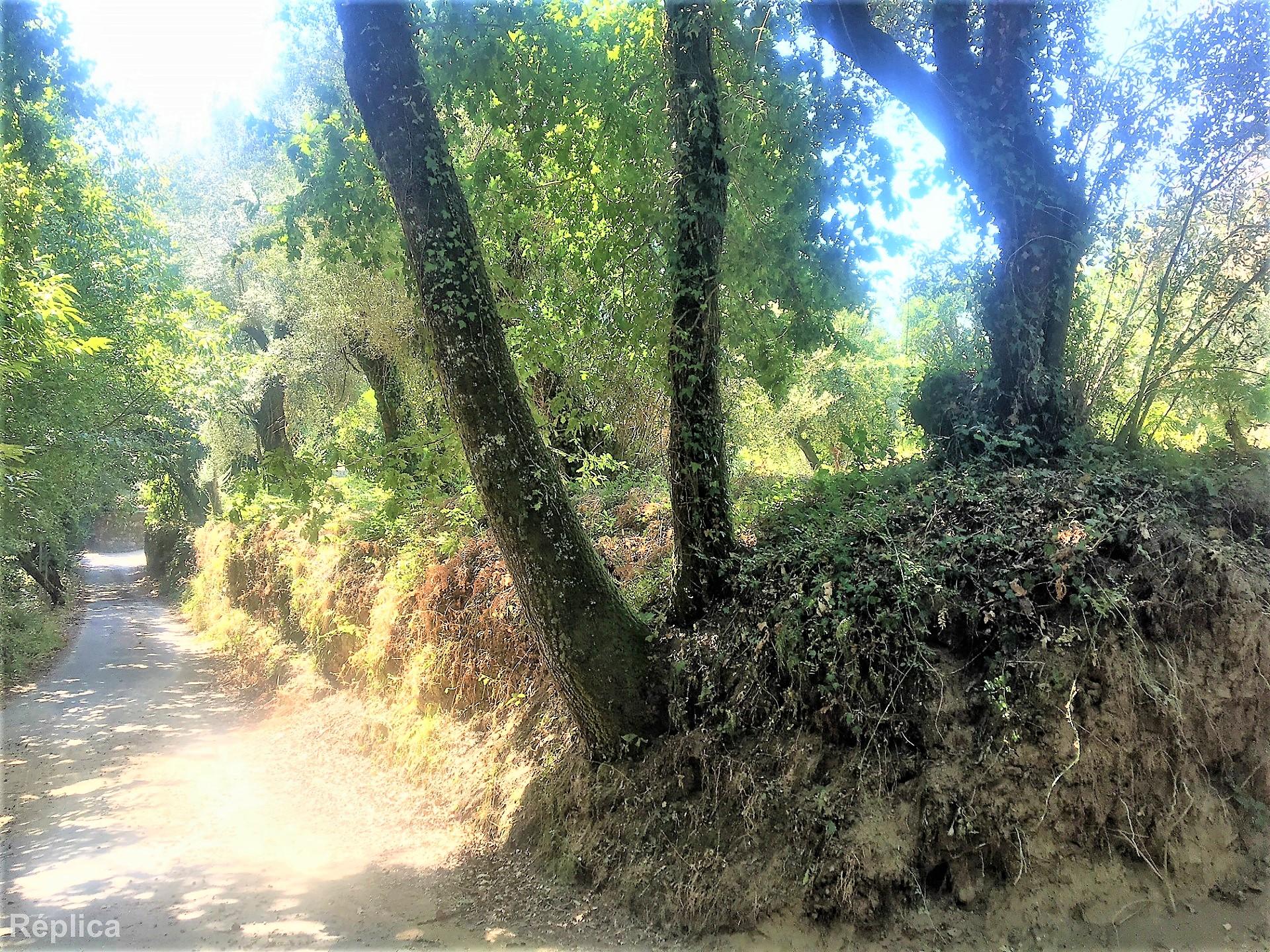 Terreno com vistas sobre Rio - Braga- Cabeceiras de Basto