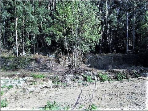 Terreno para construção de Moradia T3 em Gondomar (com estudo prévio)