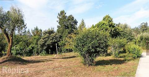 Quinta em Vila Verde - Coração do Baixo Minho