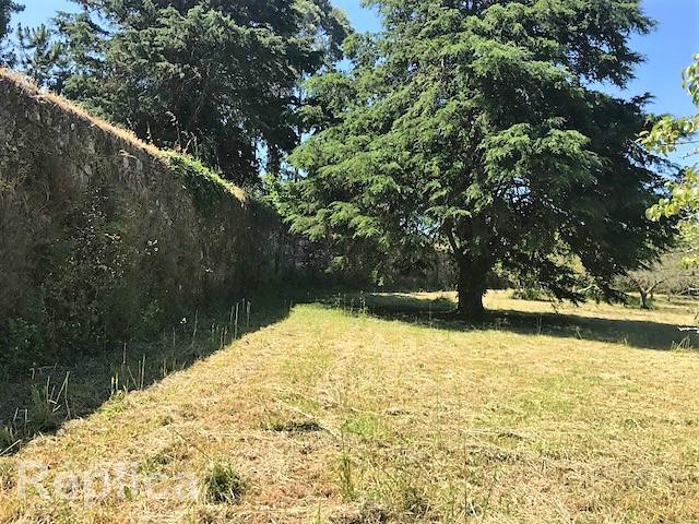 Terreno Para Construção  Venda em Afife,Viana do Castelo