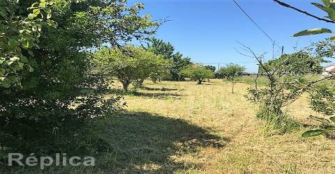 Terreno Para Construção  Venda em Afife,Viana do Castelo