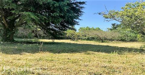 Terreno Para Construção  Venda em Afife,Viana do Castelo