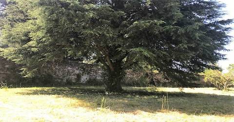 Terreno Para Construção  Venda em Afife,Viana do Castelo