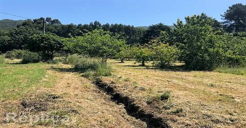 Terreno Para Construção  Venda em Afife,Viana do Castelo