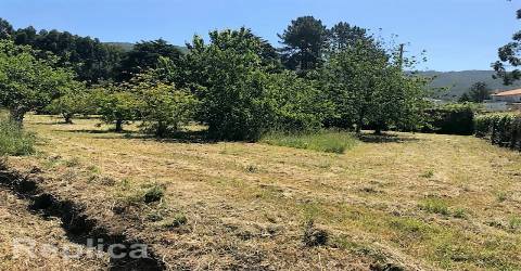 Terreno Para Construção  Venda em Afife,Viana do Castelo