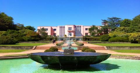 Loja à Avenida da Boavista