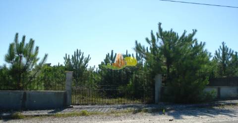 2 Lotes para Construção