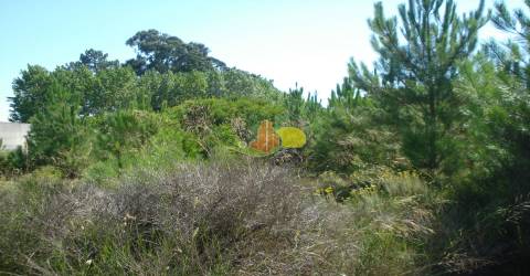 2 Lotes para Construção