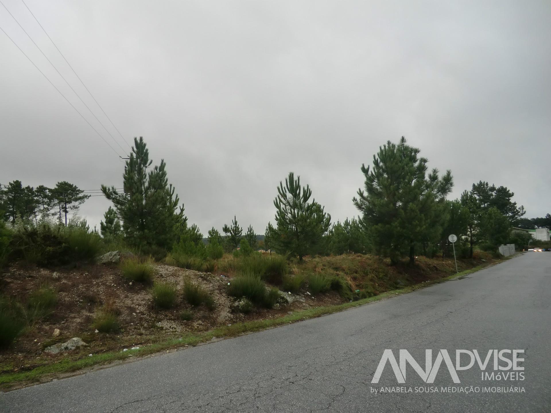 Lote de Terreno  Venda em São João de Lourosa,Viseu