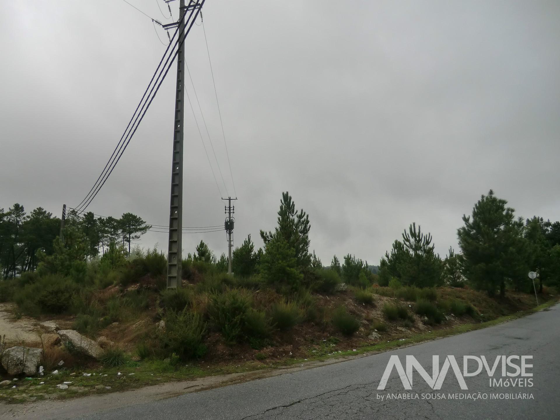 Lote de Terreno  Venda em São João de Lourosa,Viseu