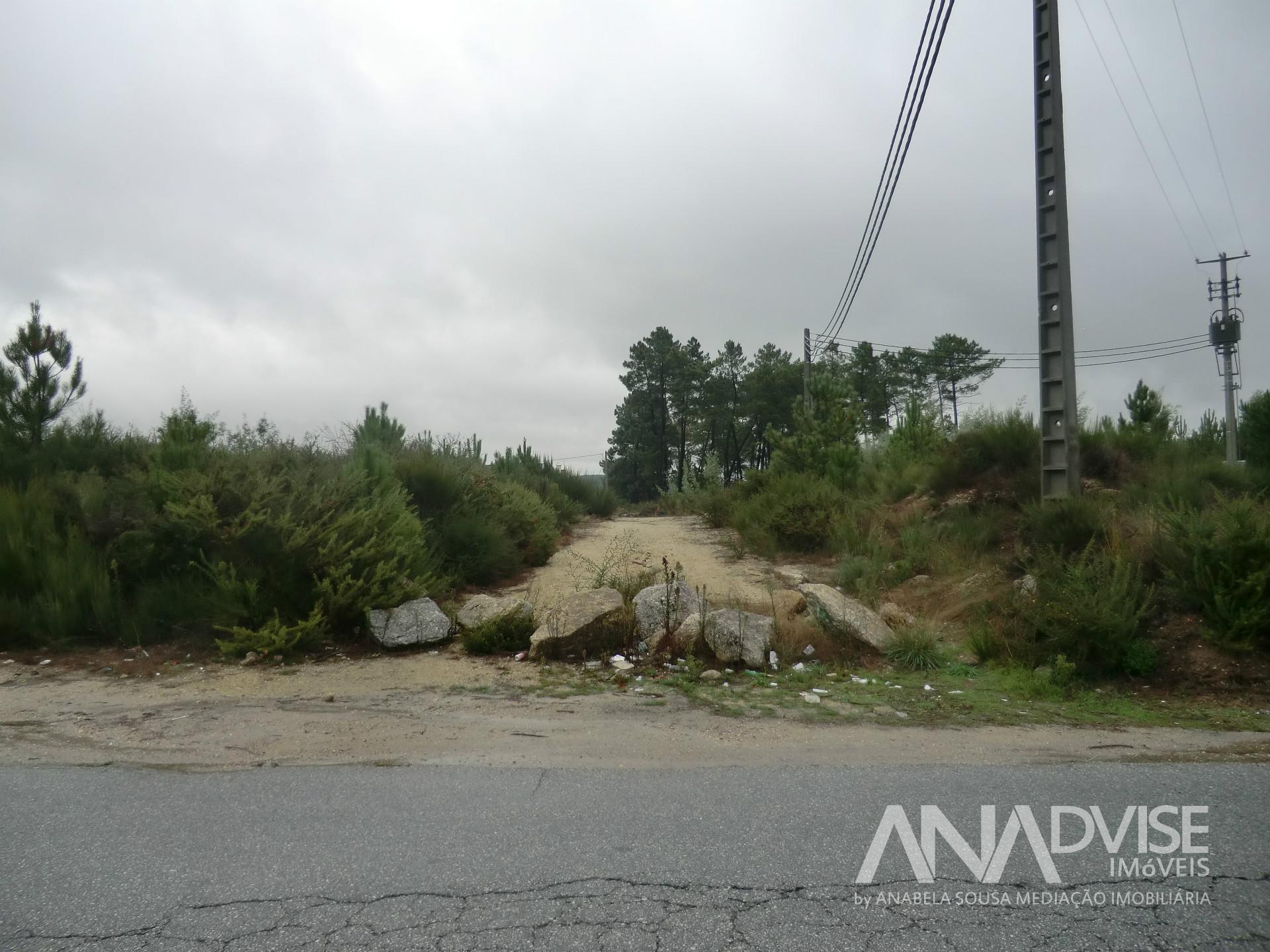 Lote de Terreno  Venda em São João de Lourosa,Viseu